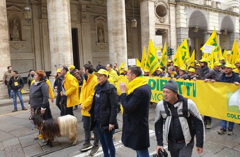 Migliaia in strada a Torino per difendere l'agricoltura 